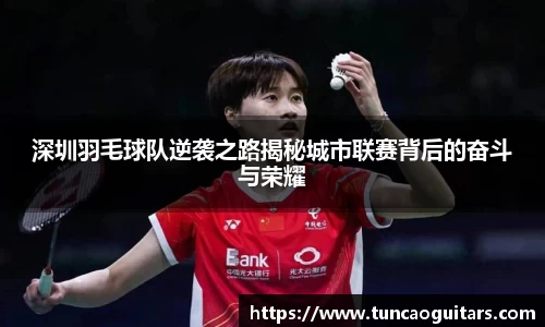深圳羽毛球队逆袭之路揭秘城市联赛背后的奋斗与荣耀